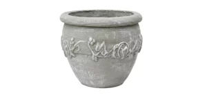 Ivy Pot For Sale in Pretoria