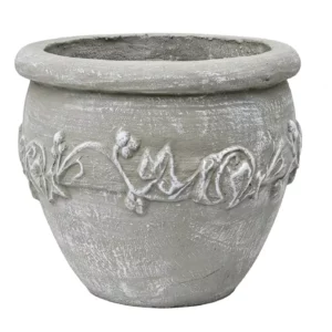 Ivy Pot