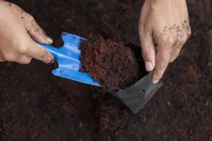 Potting Soil For Sale in Pretoria