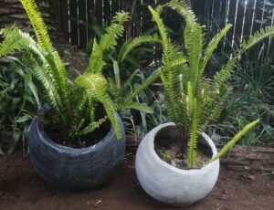 Ball Pots For Sale in Pretoria