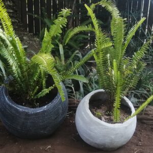 Ball Pots