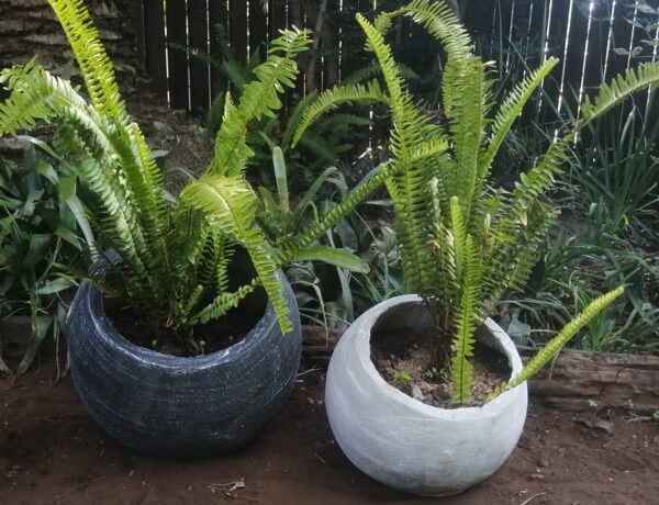 Ball Pots