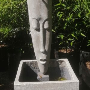 Face Water Feature