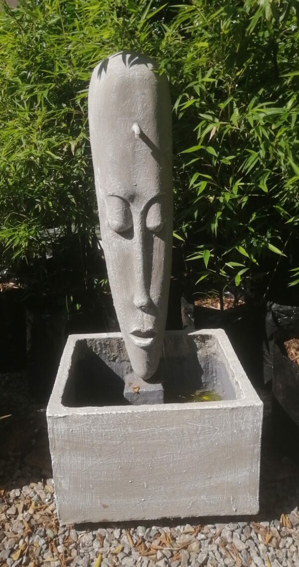 Face Water Feature